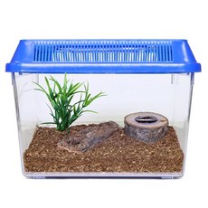 벅스킹덤 장수풍뎅이 초급자 사육세트 블루, 1세트