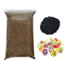 벅스킹덤 장수풍뎅이 대용량 실속팩 세트, 1세트