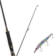 Won Da擬餌竿 Avalon 662ML 旋轉式+Damiki硬餌_Striker 120(276H RAINBOW HOLO), 1套