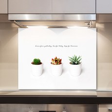 on art shop Myungsin 廚房藝術板時間卡圖斯, 1個