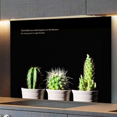 Myungsin Renown On Art Shop Kitchen Art Board 智慧仙人掌, 1個