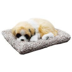 삼에스 활성탄 REAL 동물장식 인형 BIG, 세인트버나드, 1개