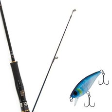 Won Da Avalon捲線式擬餌釣竿 662ML+Damiki Mu 45 SP硬餌擬餌 226H GHOST, 1套