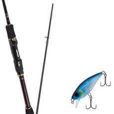 Won Da Besta Spinning擬餌釣竿 602ML+Damiki Mu 45 SP硬體擬餌 226H GHOST, 1套