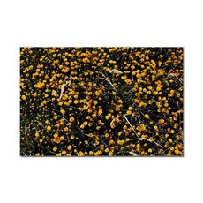 아티굿띵 포토그래퍼 박상우 세계여행 사진 시리즈 라미나 액자 no 224