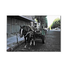 아티굿띵 포토그래퍼 박상우 세계여행 사진 시리즈 라미나 액자 no 172