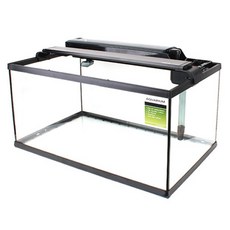 리컴 어항 XT-600, 혼합 색상, 1개