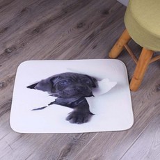 슈퍼식스 심플 발 매트, 5