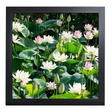 GGOOMIM 蓮花裝飾畫框 2款, 黑色, 1個