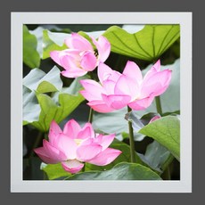 GGOOMIM 清澈純淨蓮花室內裝飾畫框 4款, 白色, 1個