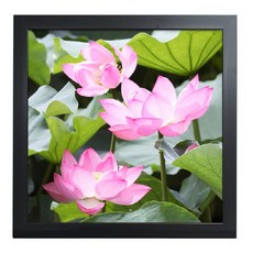 GGOOMIM 清澈純淨蓮花室內裝飾畫框 4款, 黑色, 1個