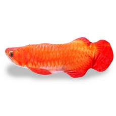딩동펫 고양이 캣닢 물고기 장난감 레드아로아나 30cm, 혼합 색상, 1개