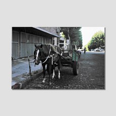 아티굿띵 포토그래퍼 박상우 세계 여행 사진 시리즈 no 172