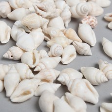 迷你貝殼室內裝飾品 190個, 混合顏色