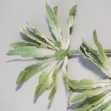 人造棕櫚樹, 綠色