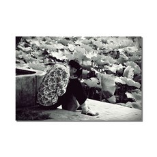 아티굿띵 포토그래퍼 박상우 세계여행 사진 시리즈 no 284
