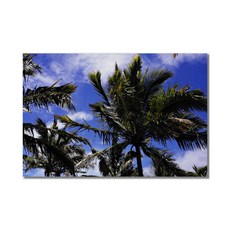 아티굿띵 포토그래퍼 박상우 세계여행 사진 시리즈 no 236