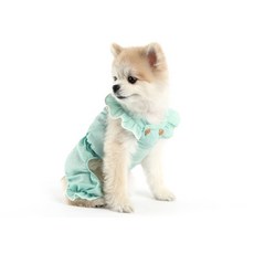 AMYLOVESPET 寵物花漾連身衣, 薄荷綠