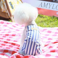 AMYLOVESPET 寵物Chito全功能服, 混合顏色