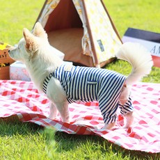 AMYLOVESPET 寵物蠟筆連身衣, 混合顏色