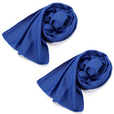 XISIS 乾式涼感毛巾, 藍色, 2個