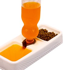 펫존 강아지 2구 식기, 아이보리, 1개