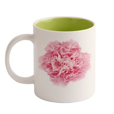 디자인아지트 기성 리얼 카네이션 머그, 그린, 1개