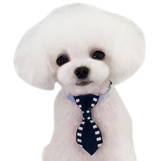 까꿍펫 반려동물 스퀘어 신사목줄, 네이비, 1개