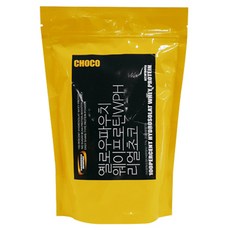 옐로우파우치 웨이프로틴 단백질보충제 리얼초코, 500g, 1개