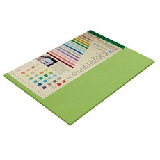 paperculture 厚卡紙 彩虹卡 No.10 清新綠, 15個