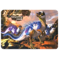 Puzzle Love 益智愛天宇龍版益智, 1套, 80件