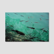 아티굿띵 포토그래퍼 박상우 세계여행 사진 시리즈 no 419