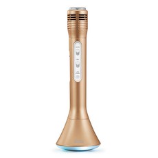 엑토 LED 블루투스 마이크 스피커, MICS-04(GOLD)