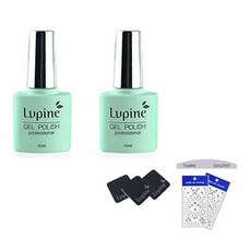 Lupin Fiona Melon Gel Polish FM-09 套組, 凝膠拋光 FM-09 2p + 光盤墊 3p + 斑馬文件 + 藝術貼紙 2p 隨機發送, 1套