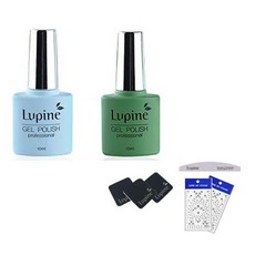 指甲彩繪組 FM-08, 凝膠拋光 FM-08 + FM-11 + 光盤墊 3p + 斑馬文件 + 藝術貼紙 2p 隨機發送, 1套