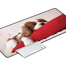 DM 컴퓨터 애니 장패드, 2, 1개