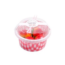 봄91 체크 간편 원형 도시락 10 x 6.3 cm 5p + 칼라 미니 포크 랜덤 발송 8.5cm 5p + 화이트 빈티지 어라운드 라벨 스티커 랜덤 발송 11.7 x 3.5 cm 5p, 1세트