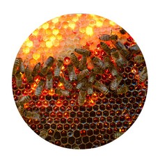 Sweet Living 3D蜜蜂圓形地墊, 01, 1個