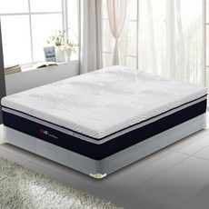 웰퍼니쳐 울트라 듀얼 플렉스 메모리폼 매트리스