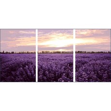 DIY手繪名畫, F-05款, 1組