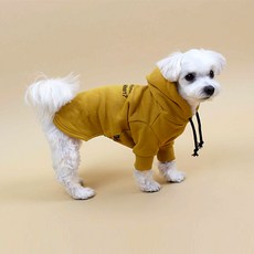 DASOM Dog Doyu Know 連帽衫, 黃色的