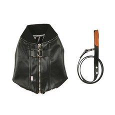 다솜 반려견 라이더 베스트 하네스 세트 SM, BLACK, 1세트