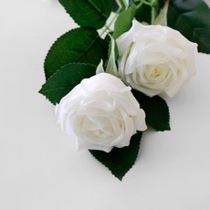 BLOOMING&ME 人造維羅納玫瑰, 白色, 1個