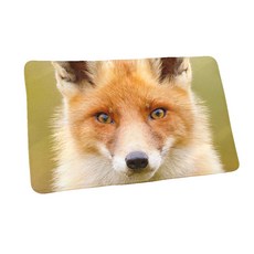 해피트레이딩 다용도 욕실주방 발매트 스몰라인 Ctype, 23