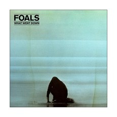 Foals - What Went Down EU수입반, 1CD