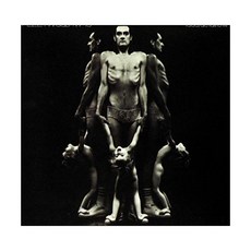 Fleetwood Mac - Heroes Are Hard To Find EU수입반, 1CD