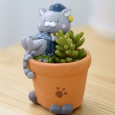 Chuka Chukanet 人造花家庭花園可愛貓咪迷你盆栽, 夢境, 1個
