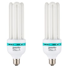 WOOREE 白熾燈泡 55W E26BASE 2p, 黃光色