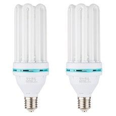 WOOREE 白熾燈泡 100W EFPE100EX-D E39 2p, 白光