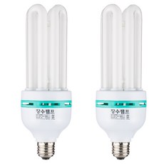 WOOREE 白熾燈泡 45W E26BASE 2p, 晝光色